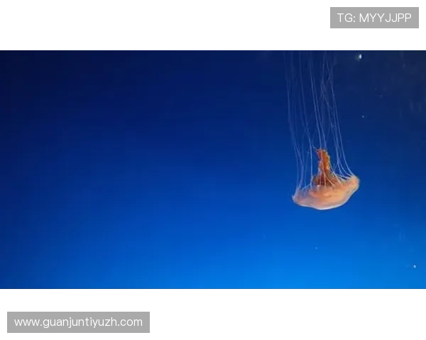 星空体育网页版登录入口:如何确保登录安全与个人信息保护措施 星空体育网页版登录入口:如何确保登录安全与个人信息保护措施